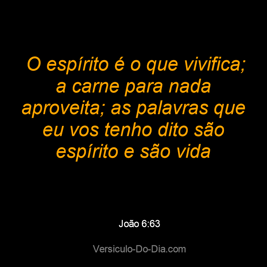 ZAP Fibra - Quais as palavras que encontrou? 🕵🏾‍♀️